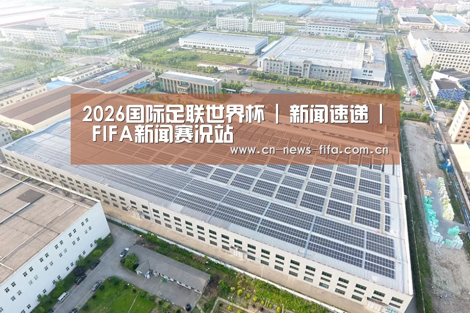 案例展示二