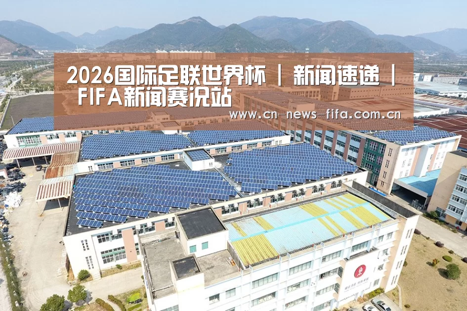 案例展示四