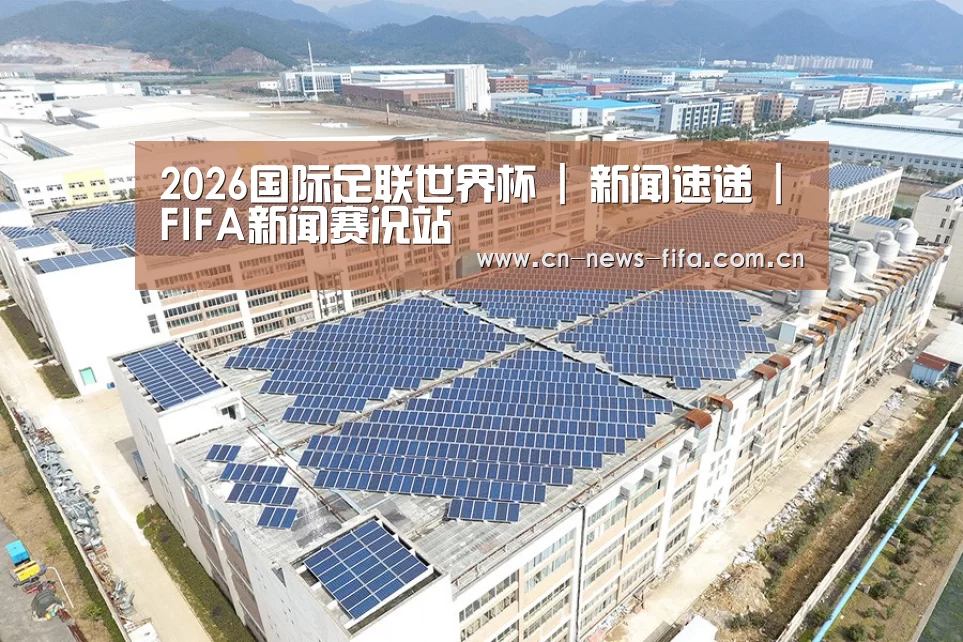 案例展示三