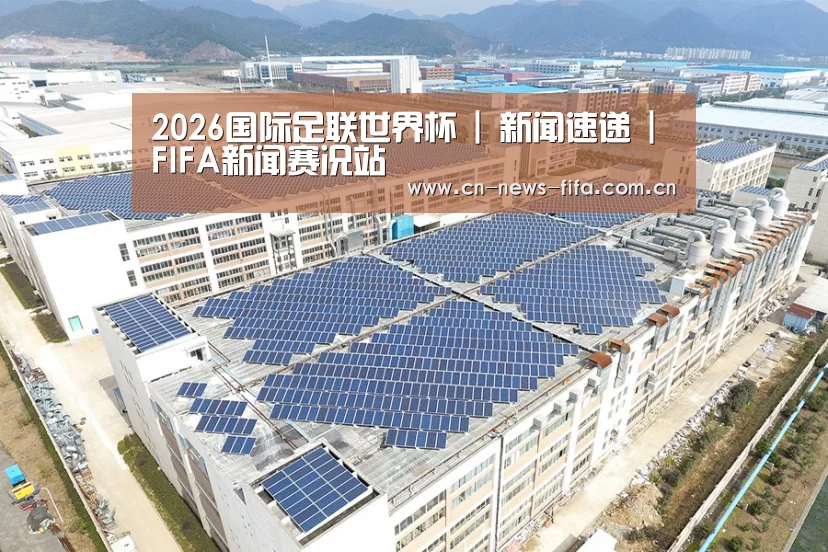 案例展示四