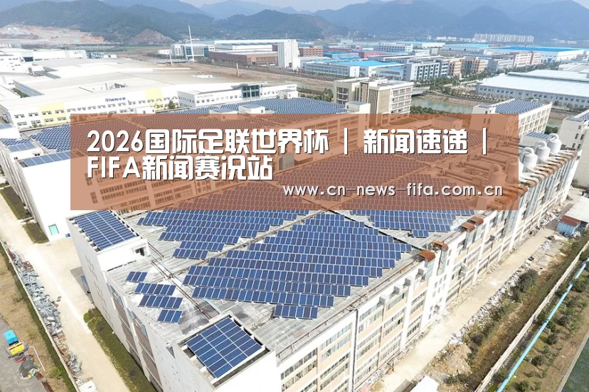 案例展示二