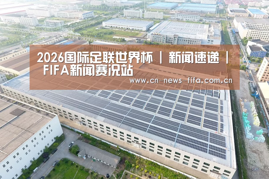 案例展示二