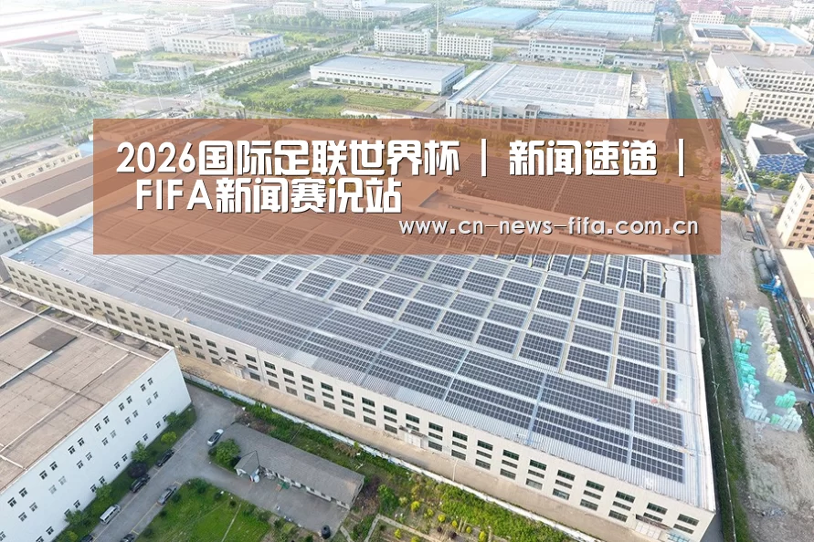 案例展示三