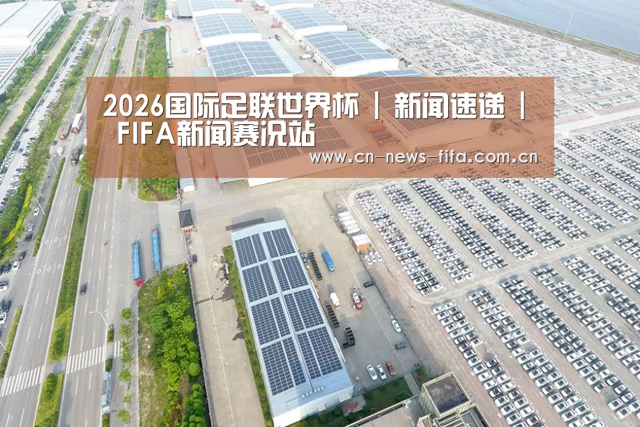 案例展示二