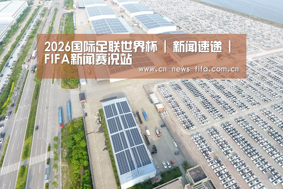 案例展示三