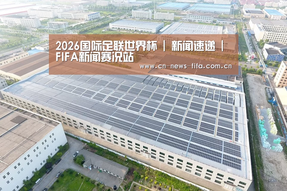 案例展示四