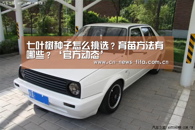 官方动态