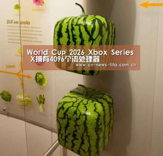 World Cup 2026_Xbox Series X拥有4096个流处理器(图3) World Cup 2026