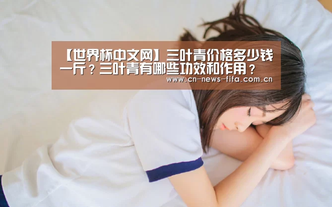 【世界杯中文网】三叶青价格多少钱一斤?三叶青有哪些功效和作用?(图1) 举办城市