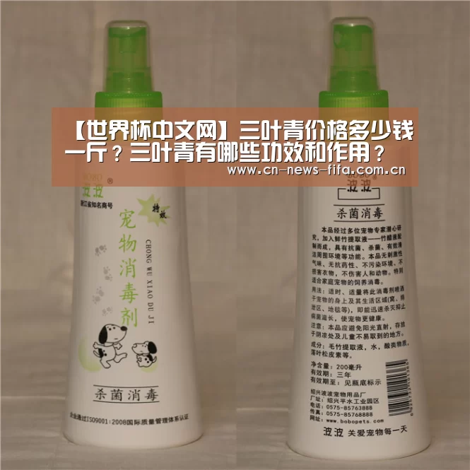 【世界杯中文网】三叶青价格多少钱一斤?三叶青有哪些功效和作用?(图2) 举办城市