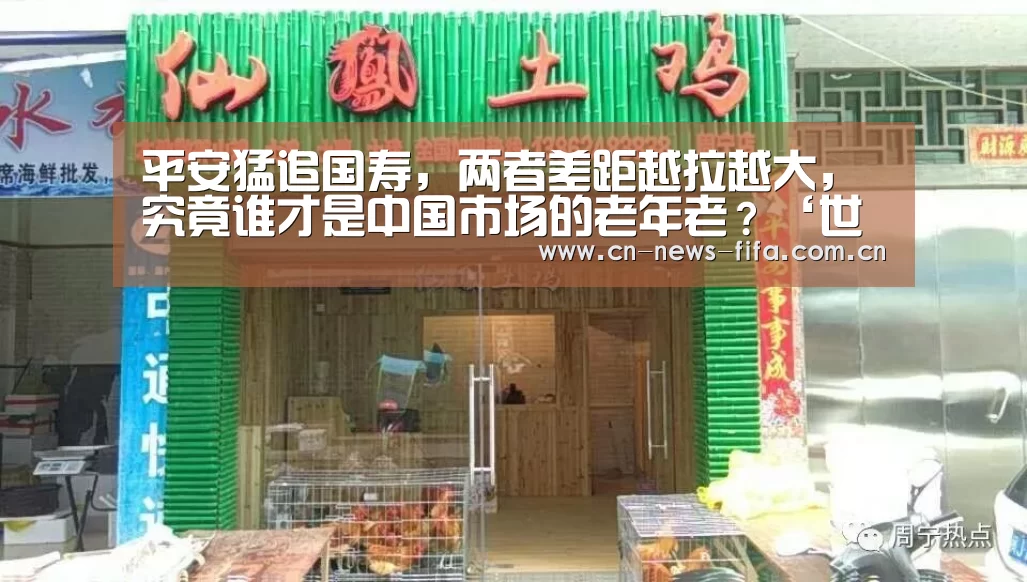 平安猛追国寿,两者差距越拉越大,究竟谁才是中国市场的老年老?‘世界杯中文网’(图1) 举办城市