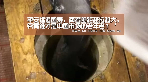 平安猛追国寿,两者差距越拉越大,究竟谁才是中国市场的老年老?‘世界杯中文网’(图2) 官方动态