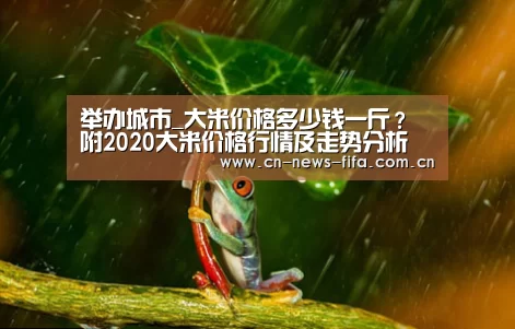 举办城市_大米价格多少钱一斤?附2020大米价格行情及走势分析(图1) 举办城市
