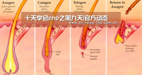 十天学会php之第九天|官方动态(图3) 举办城市