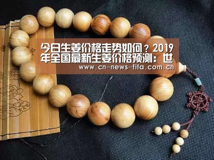 今日生姜价格走势如何?2019年全国最新生姜价格预测:世界杯中文网(图2) World Cup 2026