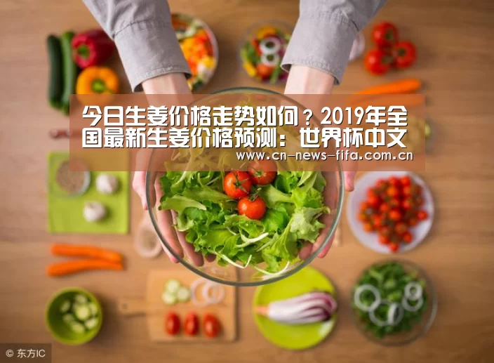 今日生姜价格走势如何?2019年全国最新生姜价格预测:世界杯中文网(图1) World Cup 2026