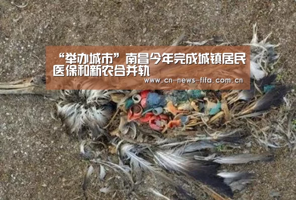 世界杯中文网