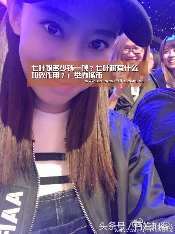 七叶树多少钱一棵?七叶树有什么功效作用?:举办城市(图1) 世界杯中文网