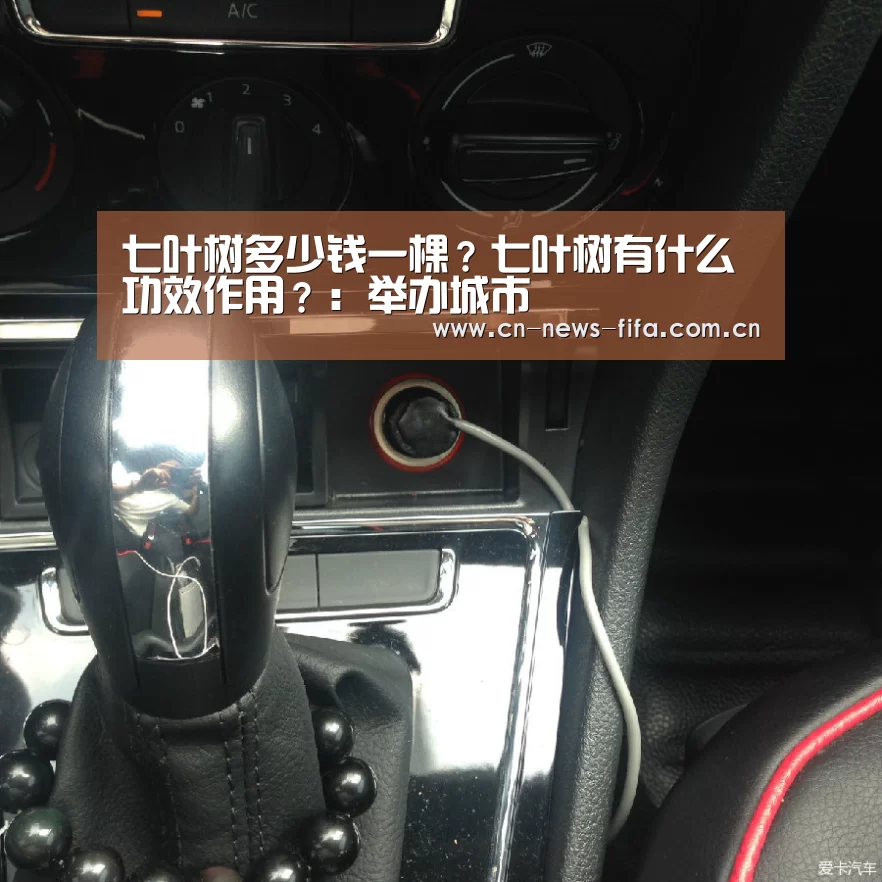 七叶树多少钱一棵?七叶树有什么功效作用?:举办城市(图4) 官方动态