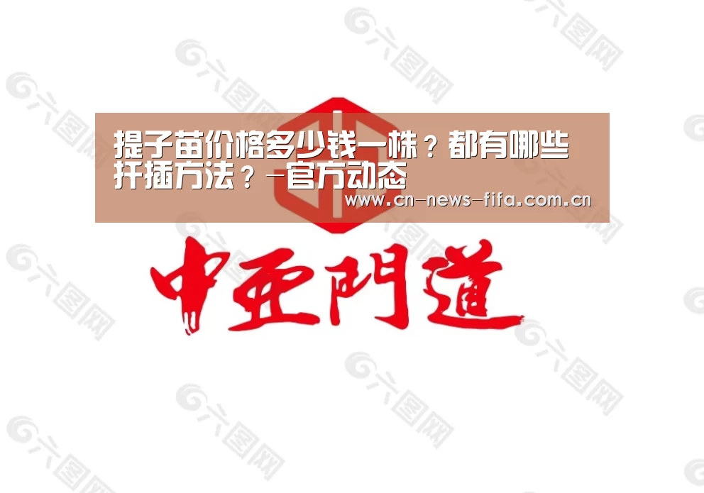 提子苗价格多少钱一株?都有哪些扦插方法?-官方动态(图2) 举办城市