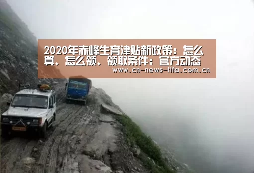 2020年赤峰生育津贴新政策:怎么算、怎么领、领取条件:官方动态(图3) 世界杯中文网