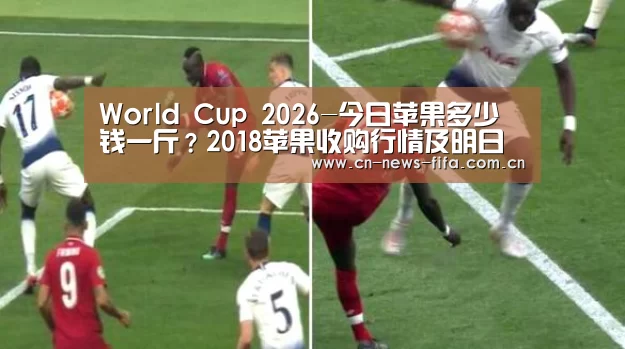 World Cup 2026-今日苹果多少钱一斤?2018苹果收购行情及明日价格预测(图4) 世界杯中文网