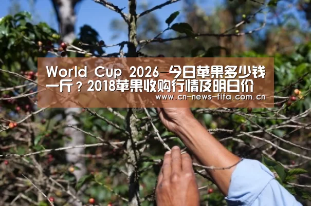 World Cup 2026-今日苹果多少钱一斤?2018苹果收购行情及明日价格预测(图1) 官方动态
