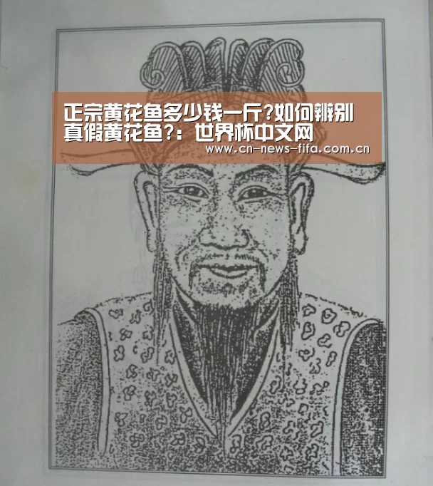 正宗黄花鱼多少钱一斤?如何辨别真假黄花鱼?:世界杯中文网(图2) 官方动态