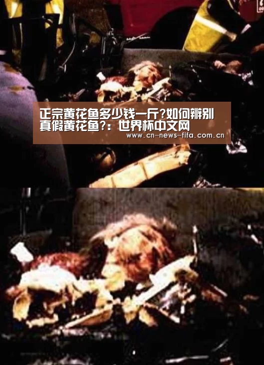 正宗黄花鱼多少钱一斤?如何辨别真假黄花鱼?:世界杯中文网(图3) 世界杯中文网