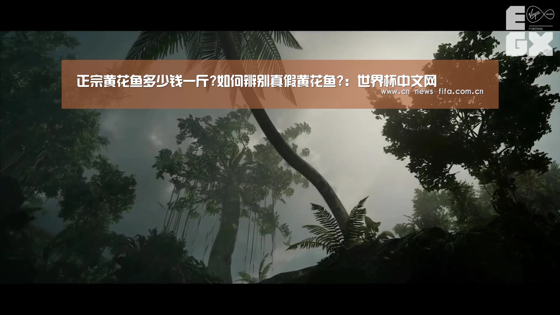 正宗黄花鱼多少钱一斤?如何辨别真假黄花鱼?:世界杯中文网(图4) World Cup 2026